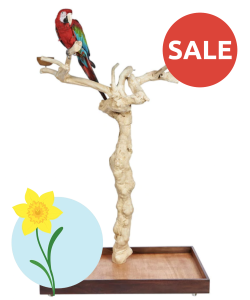 Java Wood X-Large Tree - Natural Hardwood Parrot Playstand, Large Macaw, Cockatoo Playstand